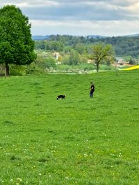 2012-05-07 (4)
