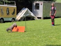 IMG-20250610-WA0002