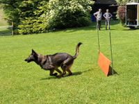 IMG-20250610-WA0014
