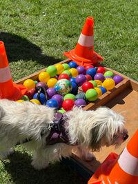 IMG-20250419-WA0020