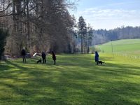 WhatsApp Image 2026-03-22 at 11.00.20 (4)