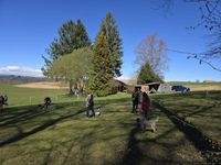 WhatsApp Image 2026-04-04 at 20.07.05