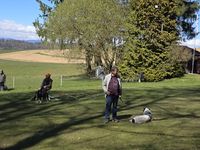 WhatsApp Image 2026-04-04 at 20.07.06 (1)