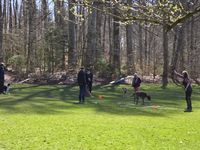 WhatsApp Image 2026-04-04 at 20.07.06 (5)