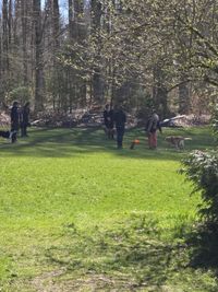 WhatsApp Image 2026-04-04 at 20.07.07 (2)