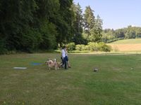 WhatsApp Image 2026-07-19 at 13.20.49 (4)