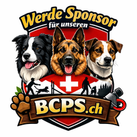 Sponsoren gesucht – gemeinsam mehr bewegen