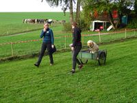 DSC00296